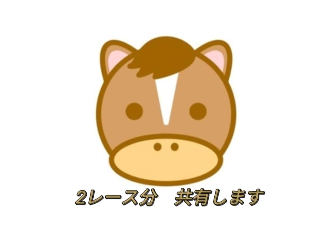 3着内に来るであろう競走馬を共有します 複勝・ワイド・3連複の軸に最適♪ イメージ2