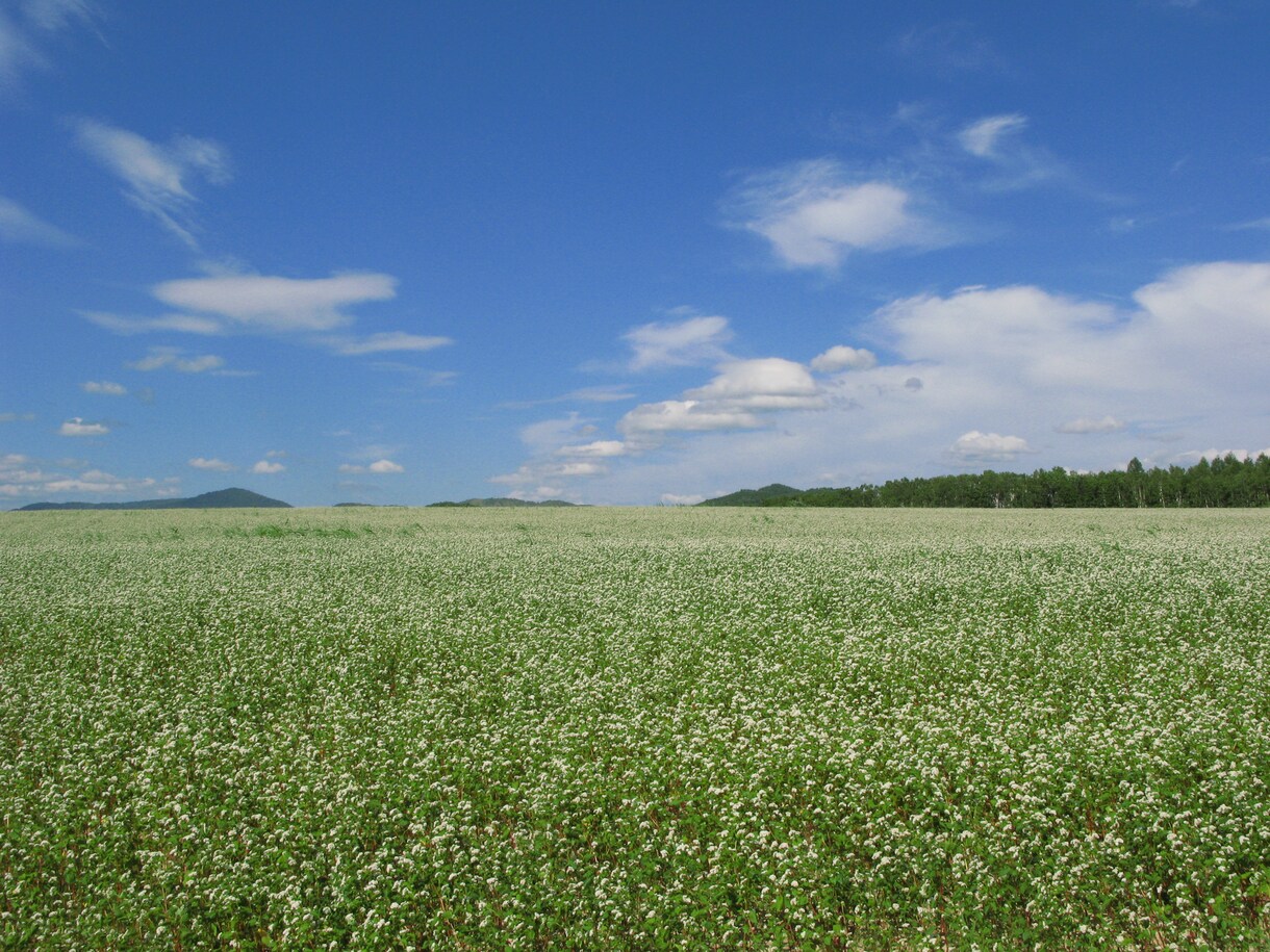 気ままに北海道ツーリング イメージ3