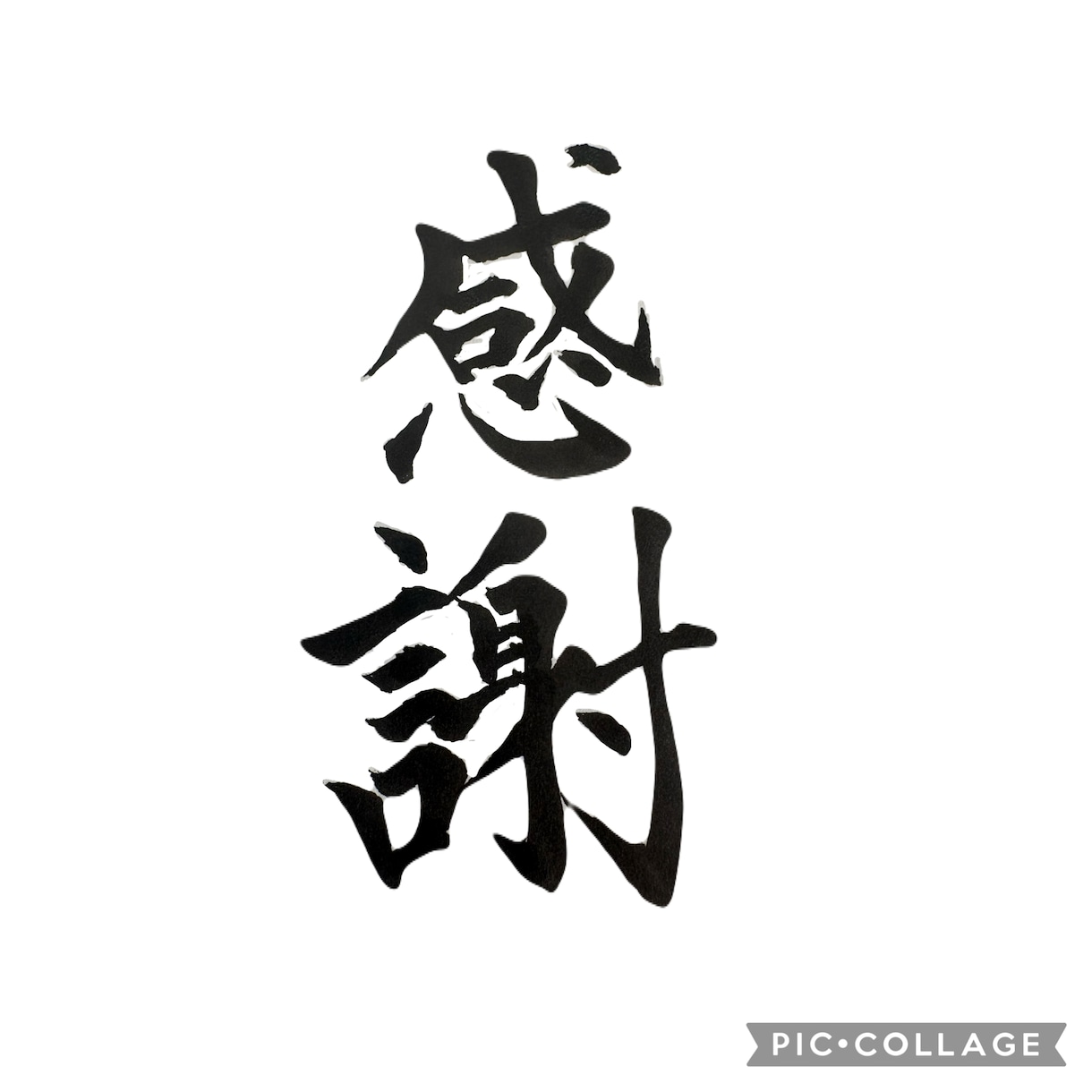 想いが伝わる筆文字ロゴ・命名書を制作します 全国受賞歴あり！高品質なオーダーメイド筆文字を制作 イメージ2