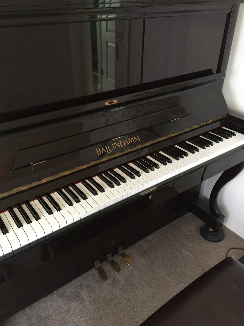 ピアノ、その他の楽器の楽譜に音をふります！ピアノに関しては弾きやすい指使いをふります！ イメージ1