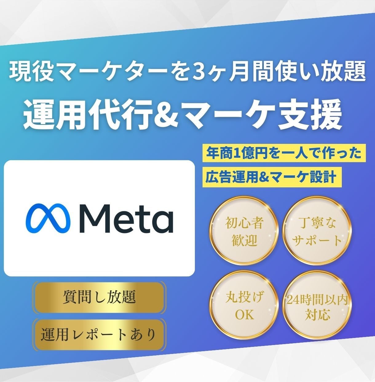 Meta広告の運用代行&マーケ視点で伴走支援します Facebook広告/Instagram広告 イメージ1