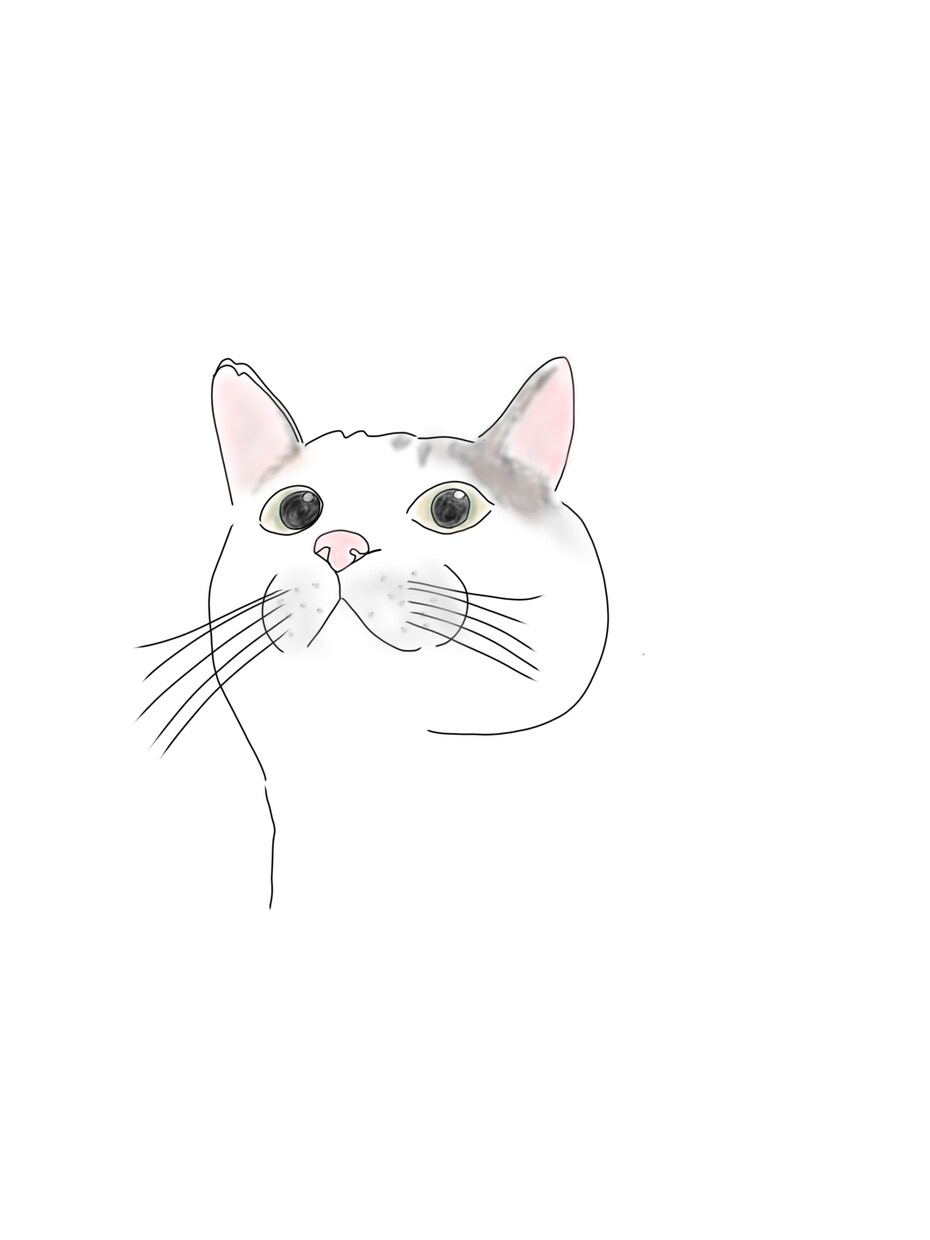 SNSアイコンやプレゼントに♪線画描きます 24時間以内に作成いたします！ イメージ5