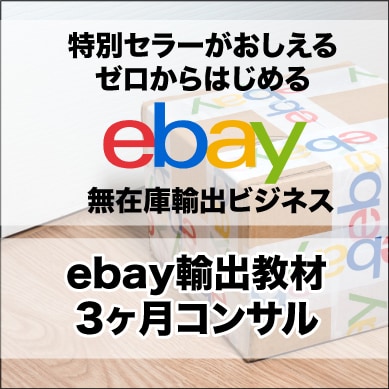 ebay海外物販を特別セラーが3ヶ月コンサルします 初心者歓迎 特盛り教材＋3ヶ月コンサル＋無制限ビデオチャット イメージ1