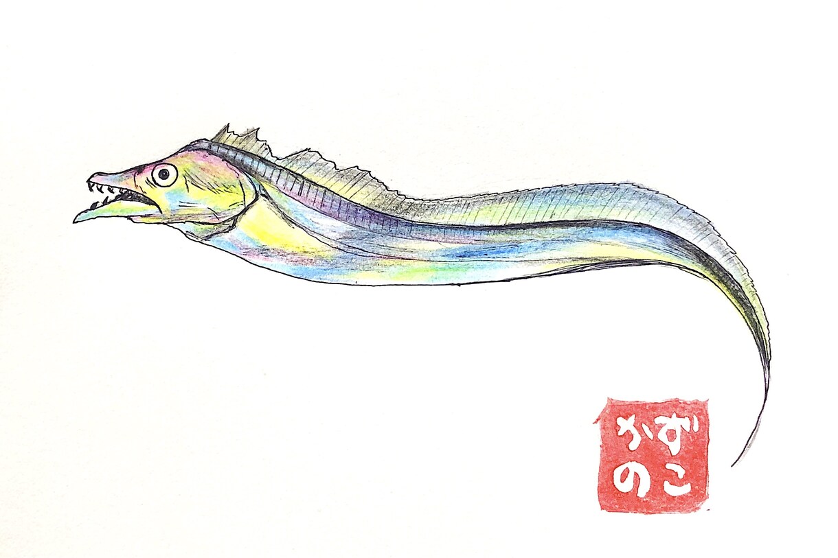 お魚のイラスト描きます どんな魚種もご相談ください！ポストカード販売もしています。 イメージ3