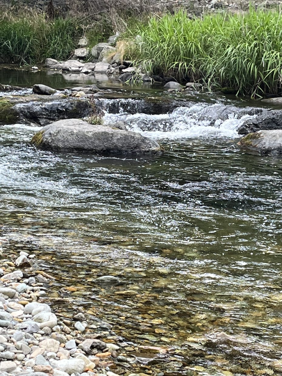貴方の心を軽くします どんなお話でもも貴方の気持ちを受け止めます イメージ4