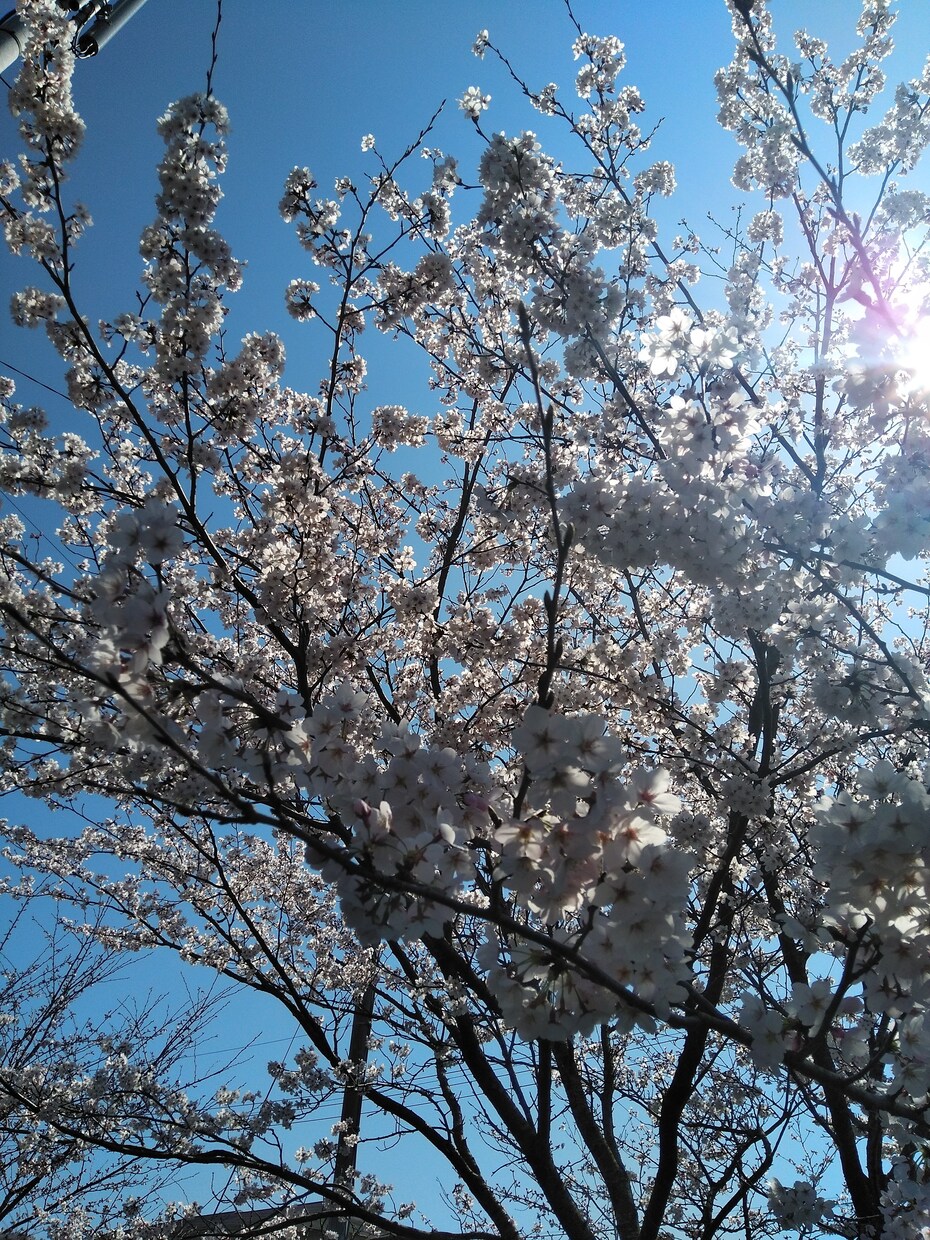 女性限定】あなたのほっと出来る居場所になります 30代ママです。愚痴沢山聞きます！ストレス減らしましょう！ イメージ1