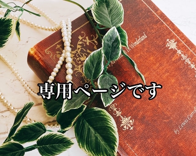 みすてぃ様専用サービスでございます 専用のオンライン授業です。宜しくお願い致します イメージ1