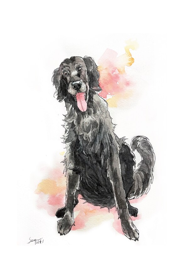 動物似顔絵・手描きの水彩で描きます 鮮やかなタッチの水彩画で、思い出をアートとして残しませんか? イメージ7