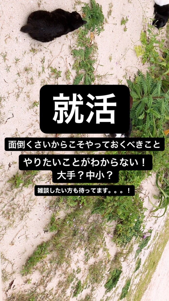 就活！早めに動きたい人向けへの相談乗ります 大学1〜3年向け！同学年との差をつけておくために！ イメージ1