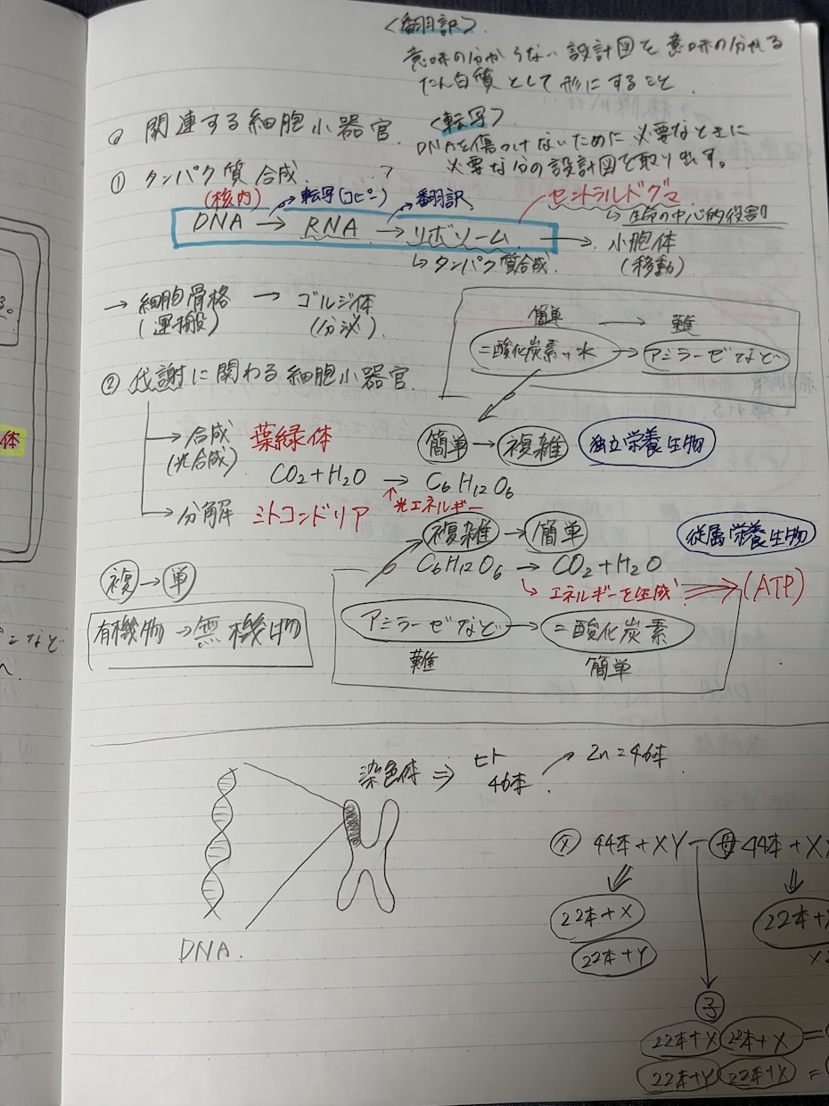 テストの成績アップのためのプリントを提供しています 小中高と成績トップの現役大学生がテスト点数アップの全てを伝授 イメージ4