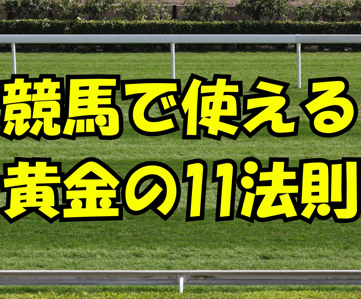競馬で使える黄金の11（イレブン）法則をお渡します 直近3年分のデータを調べ上げ、盲点となっているデータを提供 イメージ1