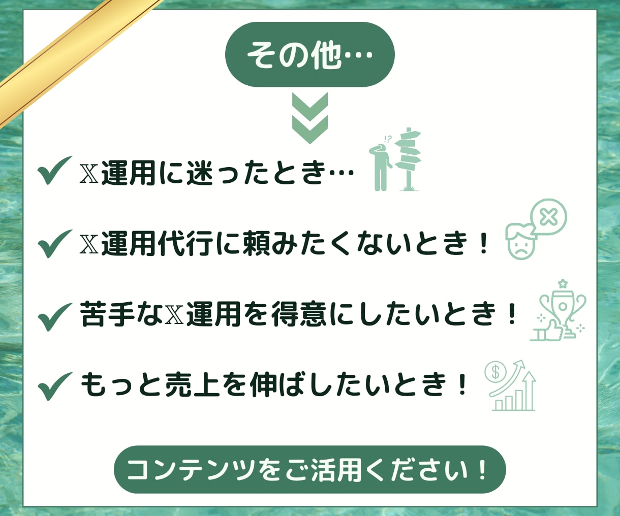 X(旧Twitter)副業で上手くいく極意教えます ✅X初心者でもOK!成功者も使ってる100の実践ノウハウ! イメージ5