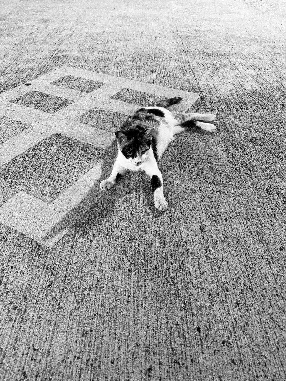 しっくりくる、これだ！！！というアイコン作成します 自分だけのためのアイコン！お客様の趣味なども勉強いたします イメージ1