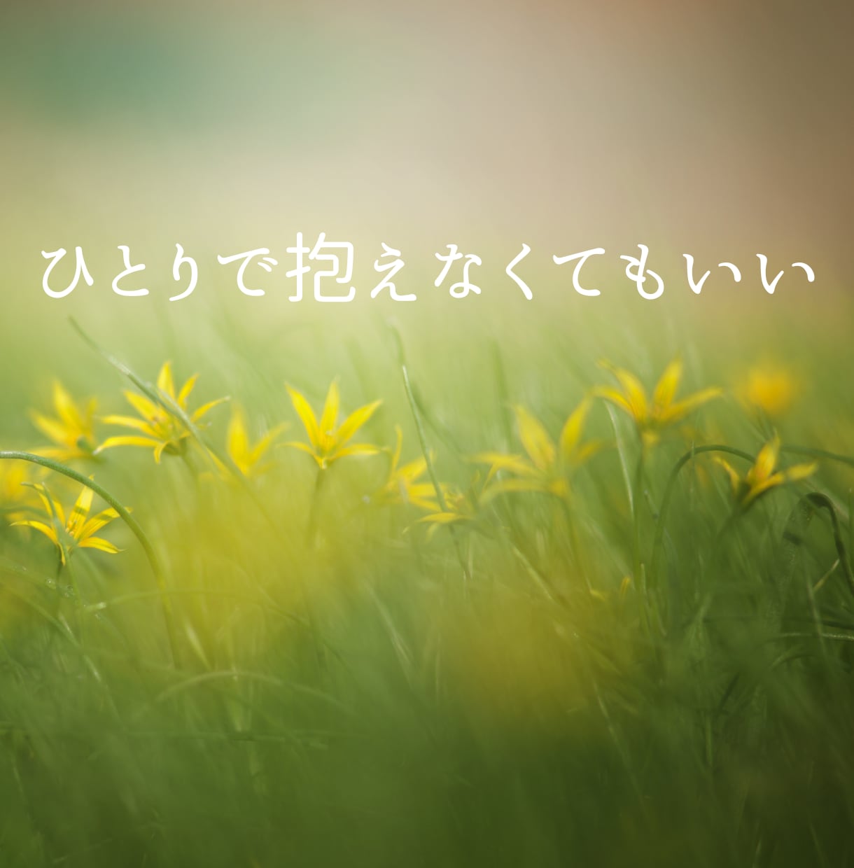 気を遣いすぎて疲れた心に安心できる居場所を作ります ⭐︎ほんの小さなことが大きな悩みに変わってしまう前に⭐︎ イメージ5