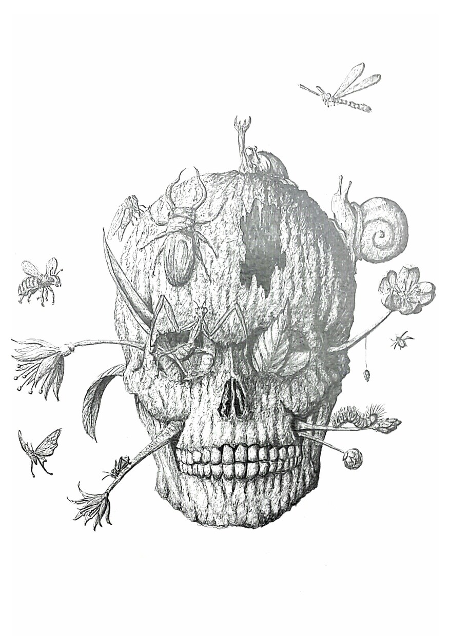 ご希望のイラストをお描きします ご希望のイラストをお描きしますヽ(*´∀｀)ﾉ♪ イメージ3