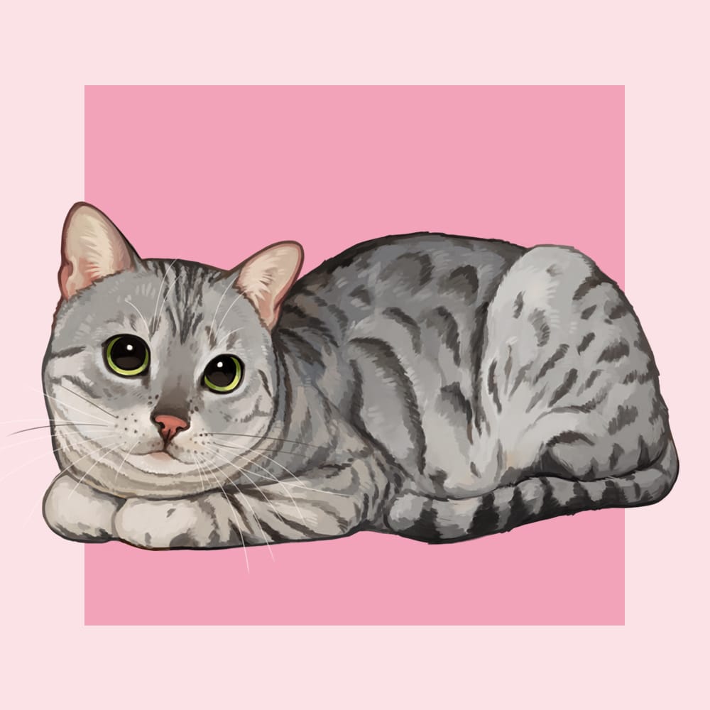 リアル・厚塗り☆大切なペットのイラストを描きます ご自分の記念用や、ギフト用におすすめです。 イメージ4