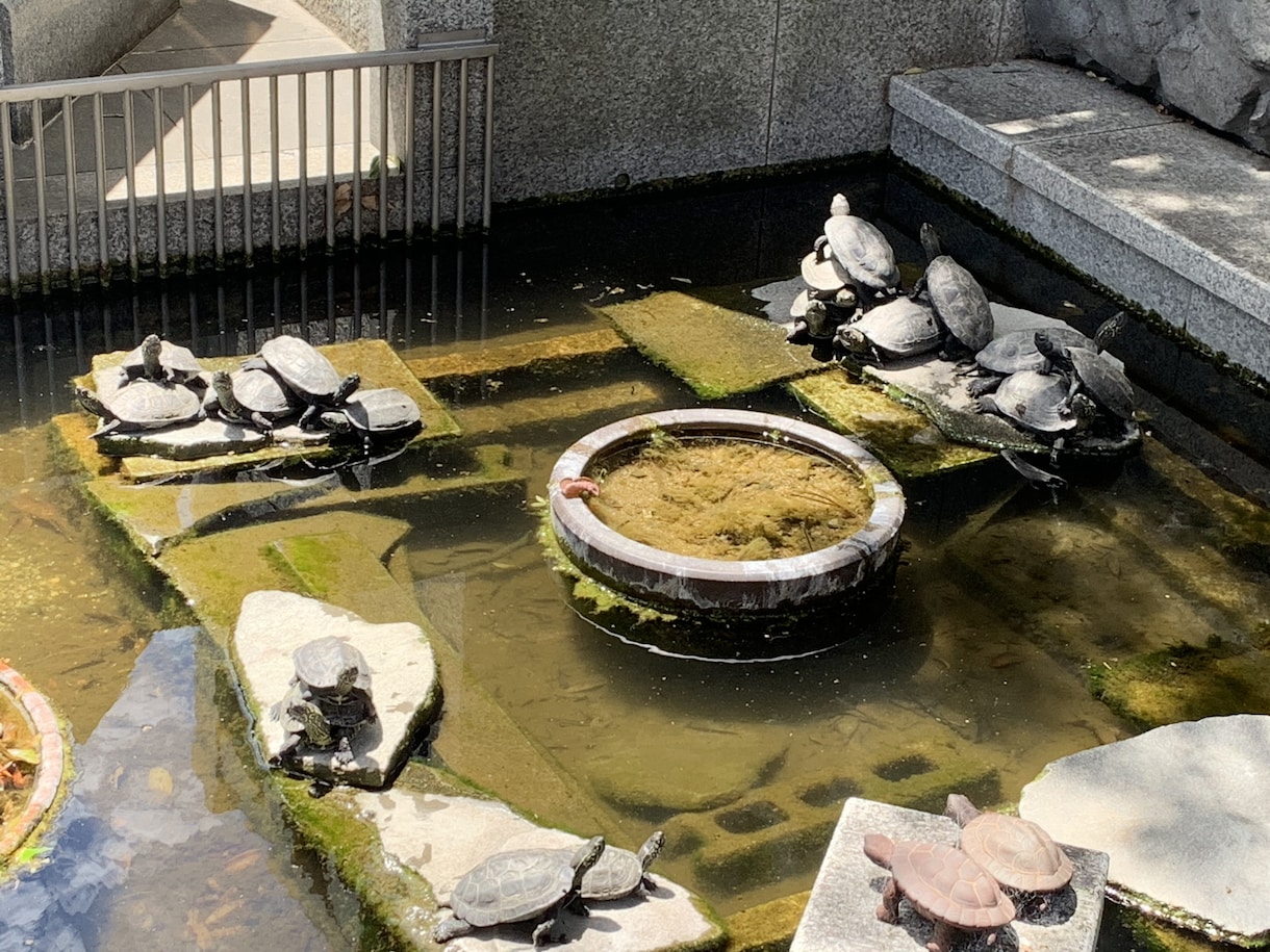 自分さがしのお手伝い致します 知らない自分が見つかればチャンスが広がりラッキー イメージ2