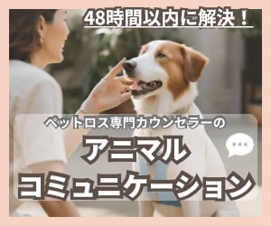 チャットでお答え！ペットちゃんとお話します 生死不問｜チャットだから読み返せるアニマルコミュニケーション | ココナラ