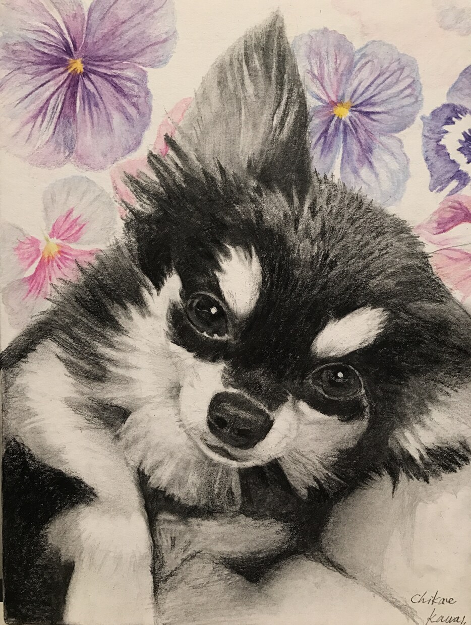 写真からリアルな鉛筆・色鉛筆の似顔絵をお届けします 動物好きな画家が心を込めて絵がきます。 イメージ3