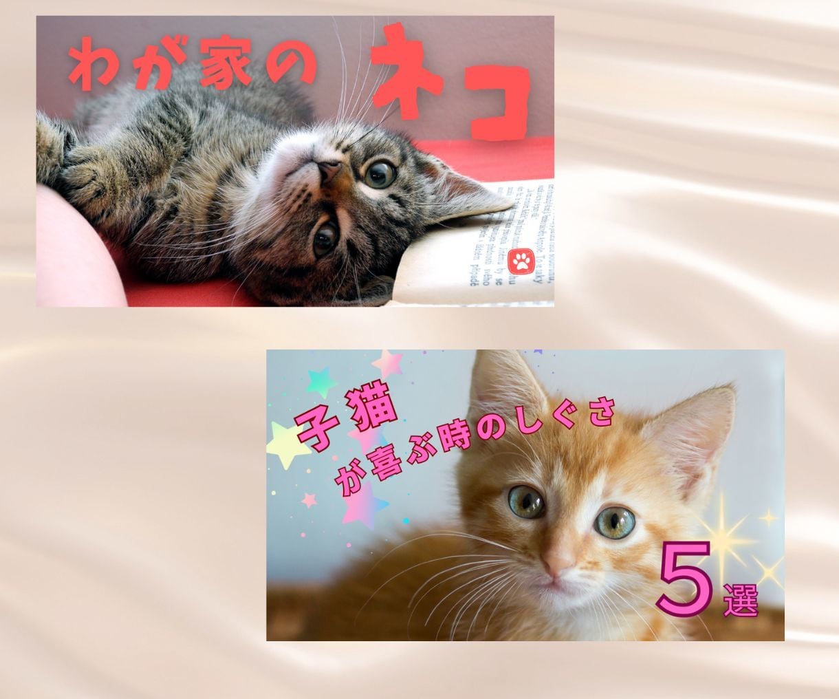 クリックされるサムネイルを制作します 3ヶ月でチャンネルを収益化させた私にお任せください！ イメージ9