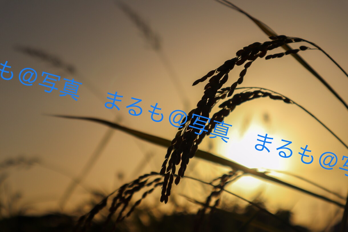 1〜3カットまで！広告等で使える写真を提供します 使い勝手の良い写真をお求めの方に！ イメージ3