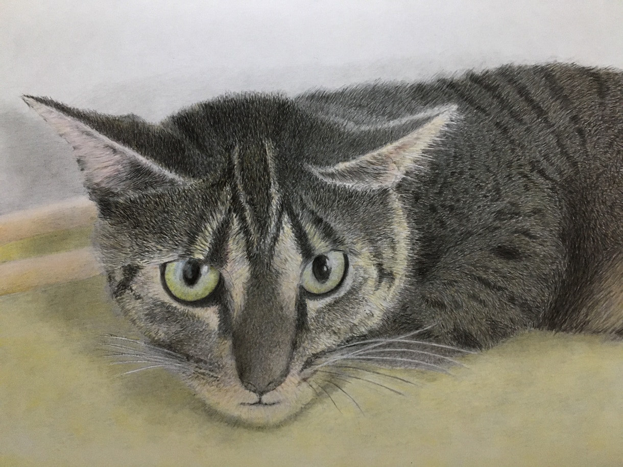 大切なペットを色鉛筆等で描かせて頂きます 可愛いペットを出来るだけ忠実に描かせて頂きます。 イメージ3