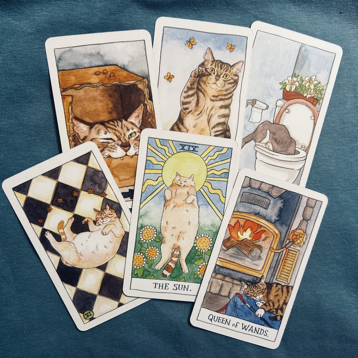 のんびり気まぐれ猫たちからのメッセージお届けします 猫たちからのいつもとは少し違ったメッセージ聞いてみませんか？ イメージ3