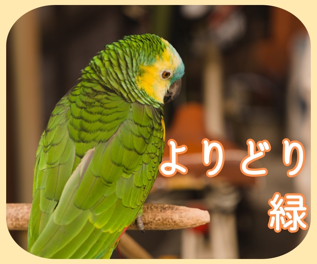想いは深く流れてる・・あるはんパワー、差しあげます なんでもお話しください・・心の空に、ふわりと浮かんだこととか イメージ5