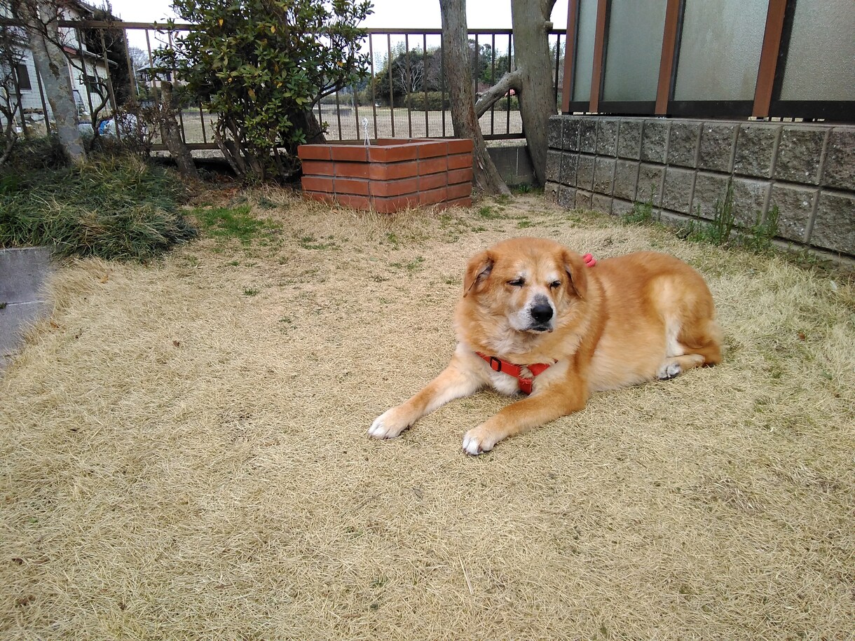若い人達の愚痴聞きを中心に話相手をいたします 人生の先輩に何でも話してみましょう イメージ1