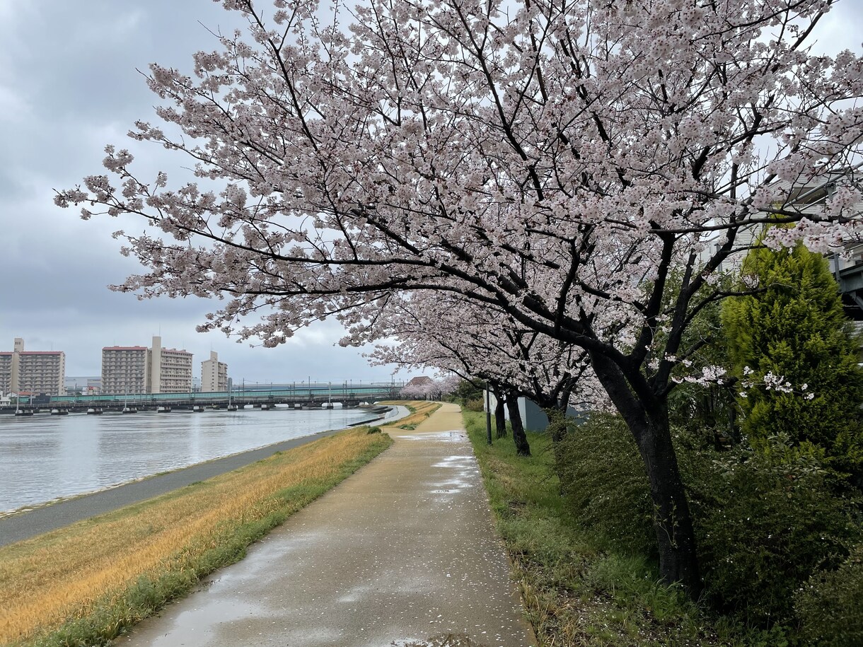 お薬の相談、進路の相談何でも伺います 飲み合わせ、飲み方、お通じ、睡眠、痩せたい、健康に生きたい方 イメージ2