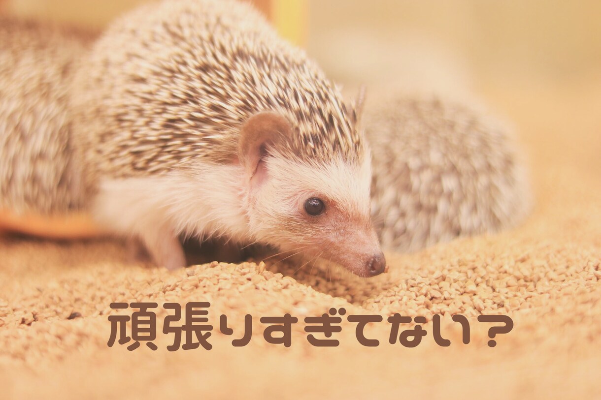 心理学ベースの傾聴で⭐️あなたを全肯定します ⭐️今日の出来事やお悩み・雑談など⭐️お聴かせ下さい⭐️ イメージ3