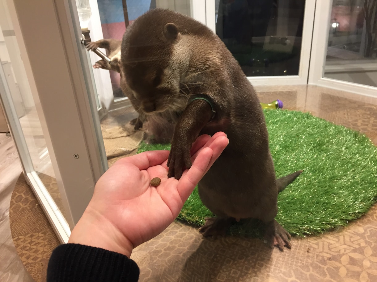 画像データの加工、修正を行います 写真などの画像を修正したい。でも安くしたい！という方！ イメージ2
