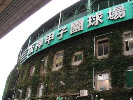 甲子園出場経験者が、アドバイスいたします！ イメージ1