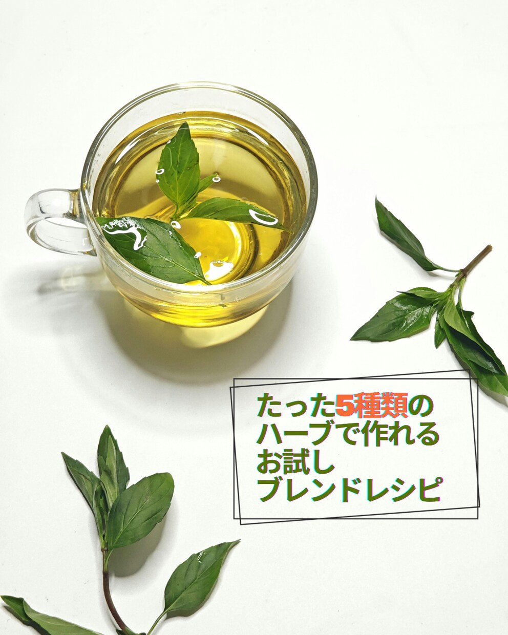 たった5種のハーブだけで作る実践ブレンド提案します 不調に振り回されない毎日を送れるレシピ イメージ1