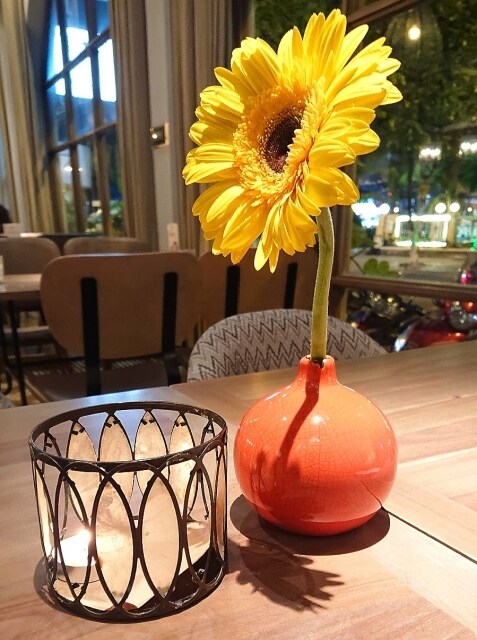 飲食店様のお料理レシピ、接客のアドバイスをします お客様が愉しめるお店へ。インスタ映え化、接客、集客の向上に。 イメージ6