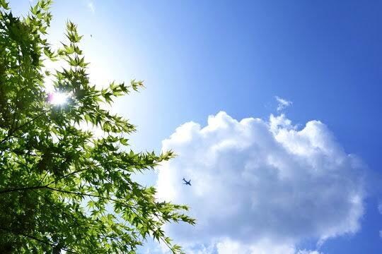 上司がストレス…無理、ただ聞いて欲しい。聞きます 上司から「柔軟性ない」と言われる、怒られて落ち込んでしまう イメージ3