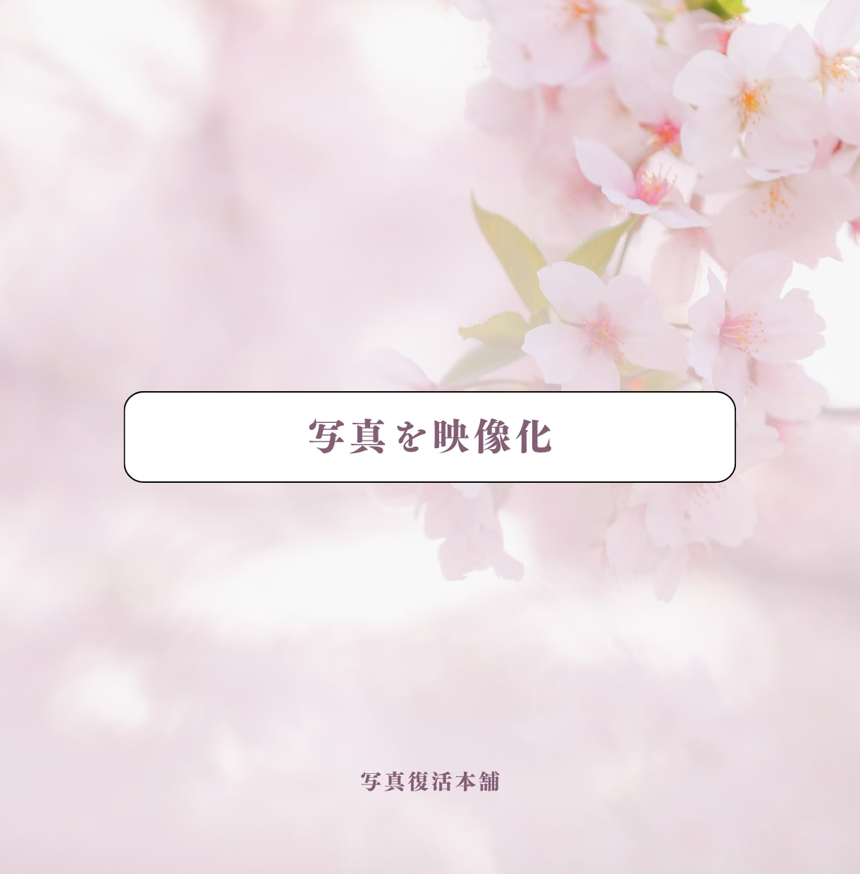 故人AI｜あなたの⼤切な写真を映像化します 故人の思い出を鮮やかに蘇らせる遺族向けサービス（5秒Ver） イメージ2