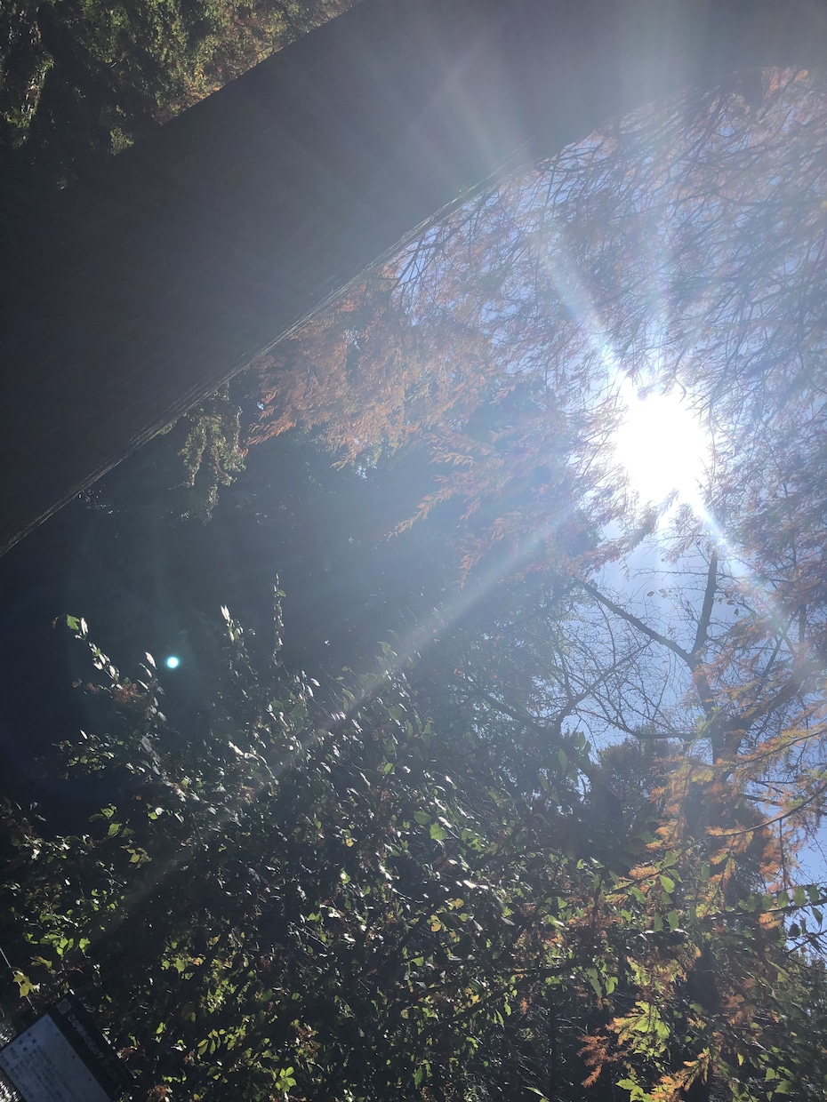 とにかく話したい人の話を聞きます 我慢せず何でも話して下さいね。 イメージ2
