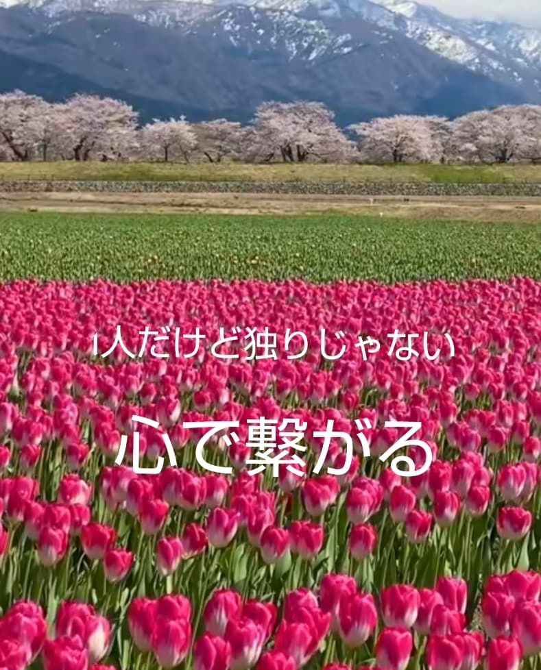 1分からでも全然大丈夫♥お話聞かせて頂きます やさしく寄り添いお話させて頂ます❤️ イメージ6
