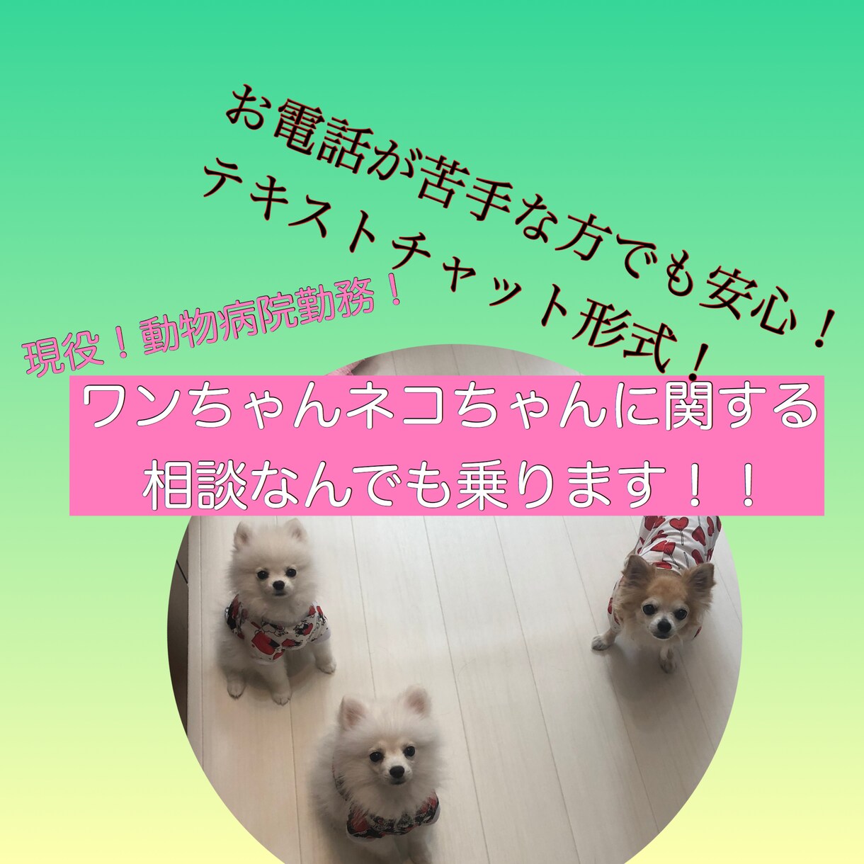 現役動物病院勤務！犬猫の病気しつけ何でも相談ます ワンちゃんネコちゃんの知識・相談困っている事気軽に質問を！ イメージ2