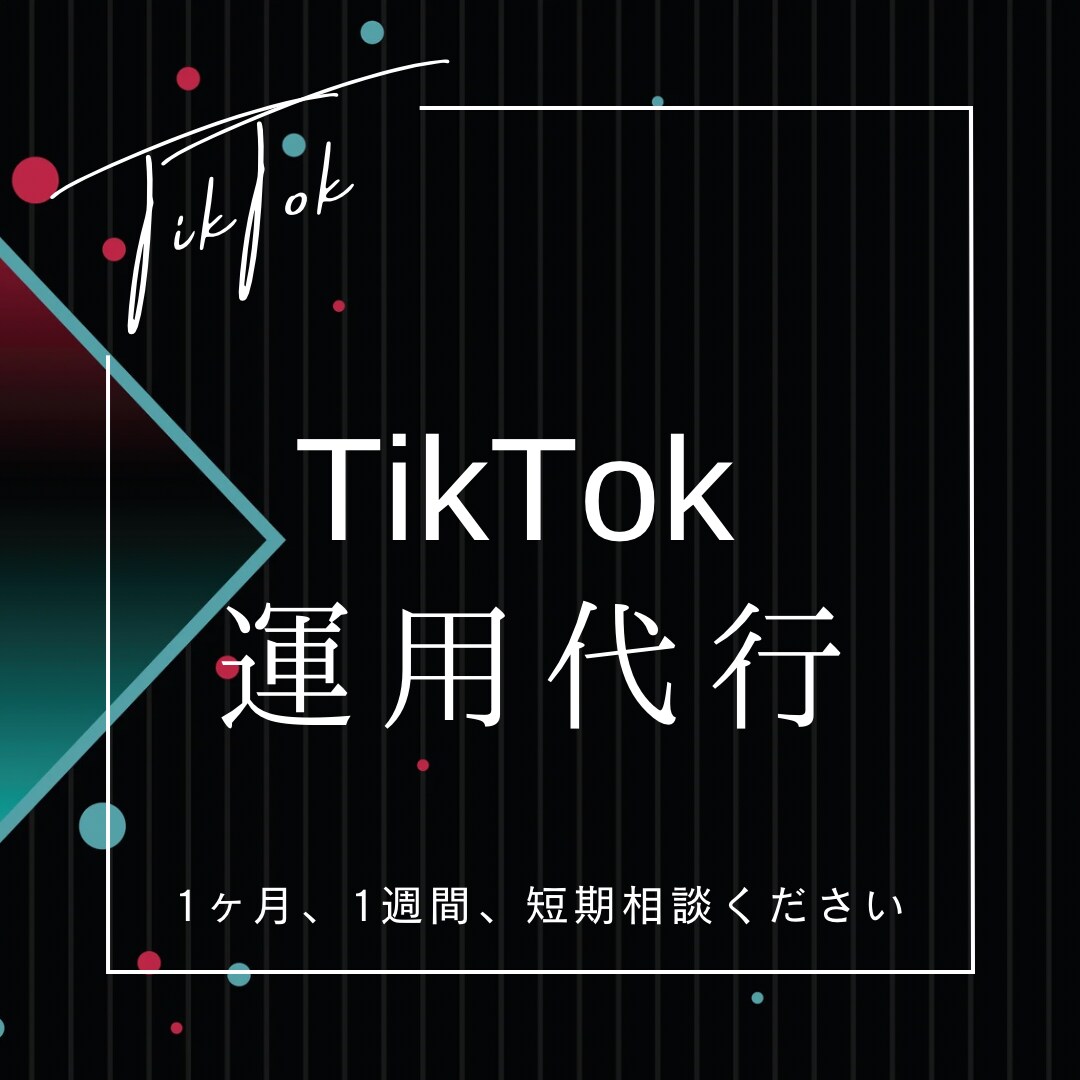 TikTok 完全手動にて運用代行致します 基本的には完全手動　お客様のニーズに全力で応えます イメージ1