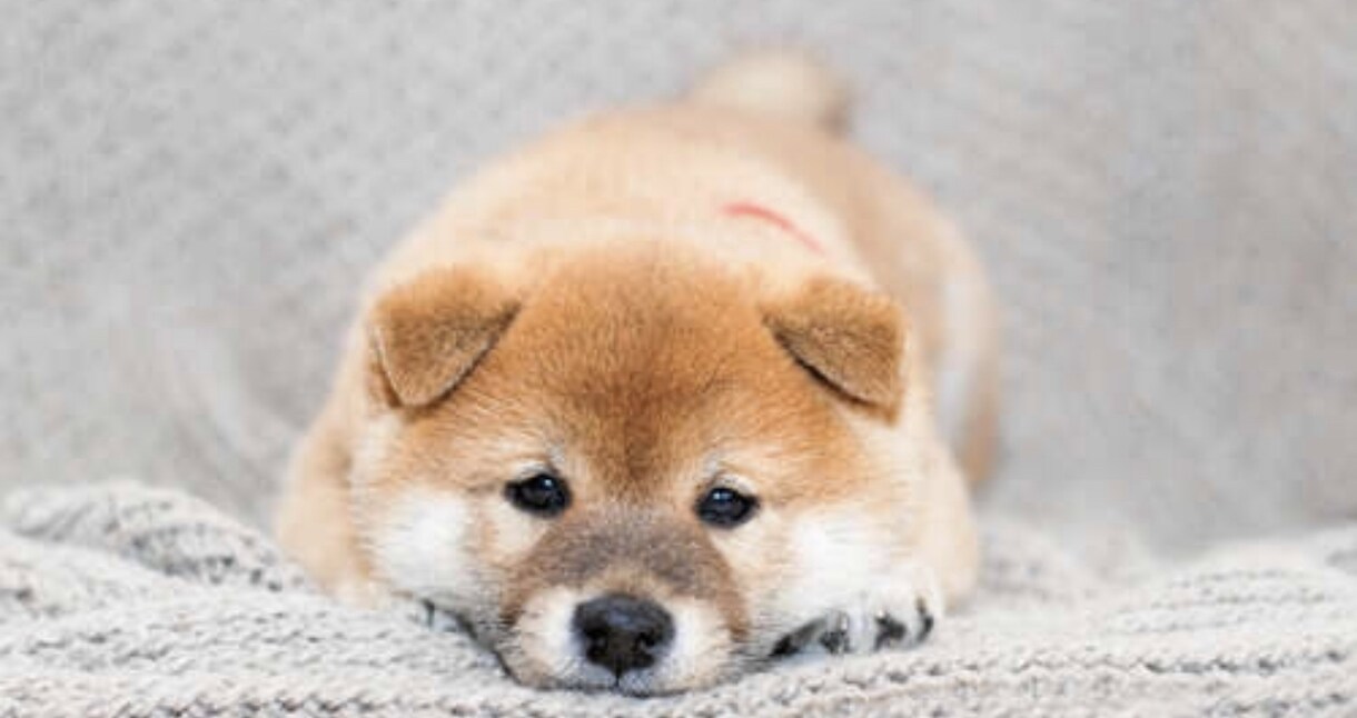 あなたの悩み聞きます 話して楽になりましょう♡スッキリしますよ(^^♪ イメージ1