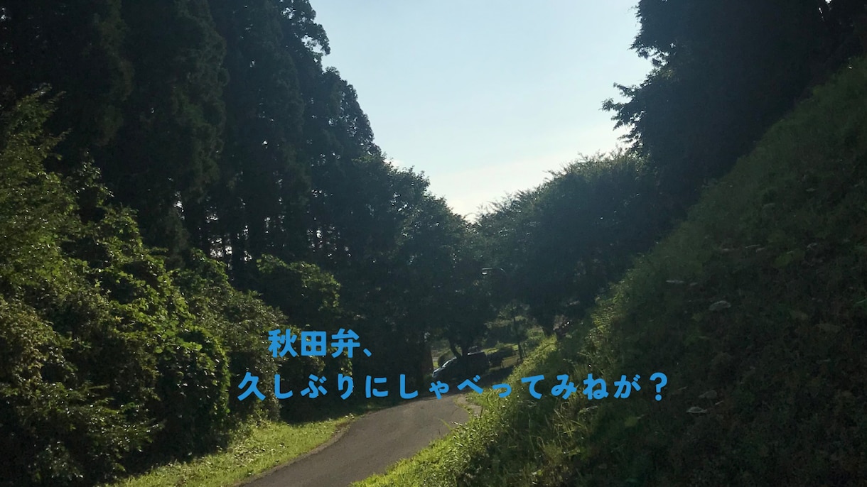 秋田弁でのみ喋ることができます 久しぶりにしゃべってみねが？秋田弁だけの相談室です。 イメージ1