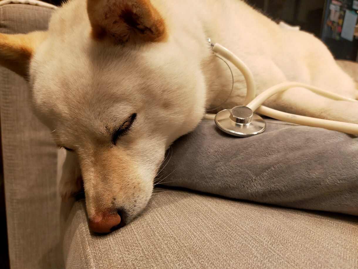 眠れなくて不安な方、眠りにつくまでお話します。ます 不眠症、愚痴聞き悩み恋愛相談、介護育児疲れ現役看護師聞きます イメージ3