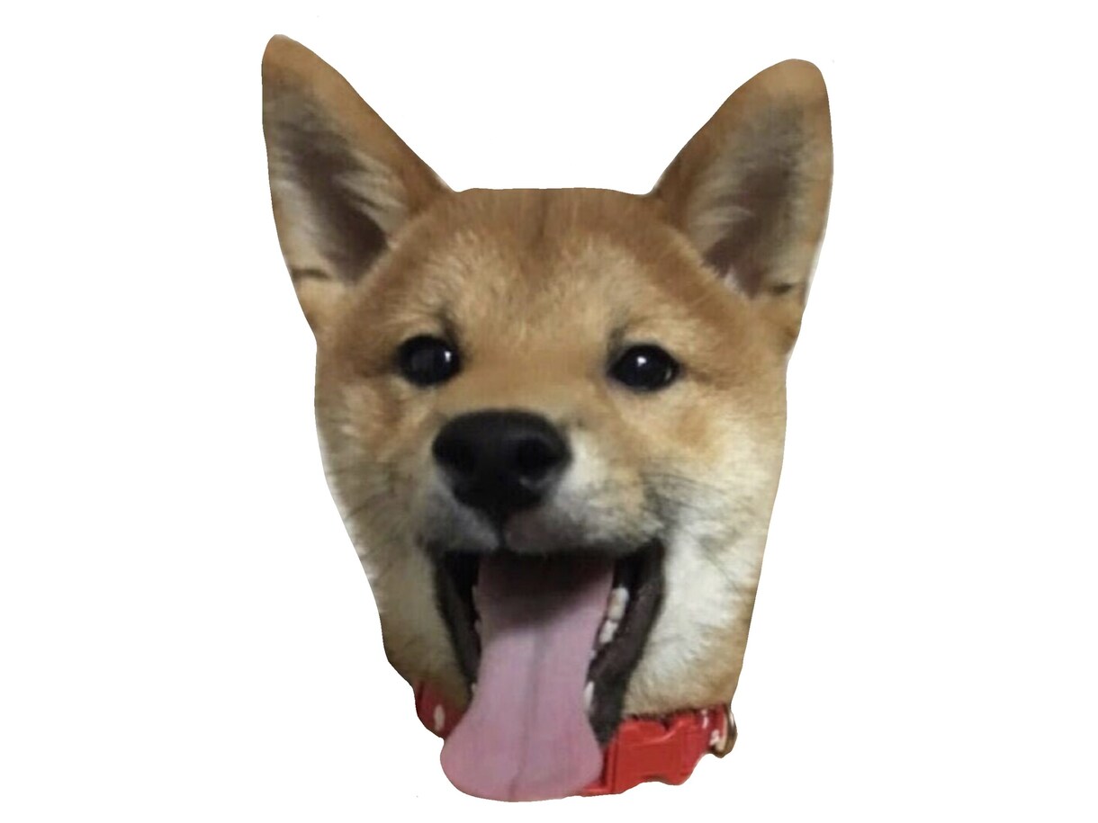 柴犬のアニメ風イラストを描きます 飼われている柴犬・豆柴ちゃんの似顔絵!SNSアイコンなどに イメージ2