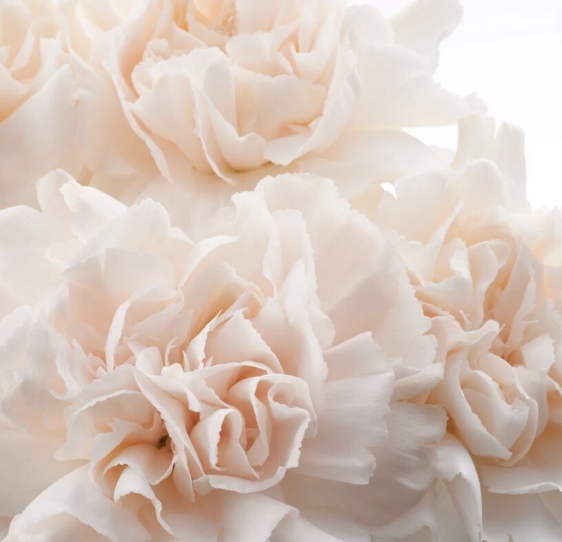 サイキックタロット☆鑑定文500文字以内で占います 誰よりも優しく寄り添う占い師です イメージ7
