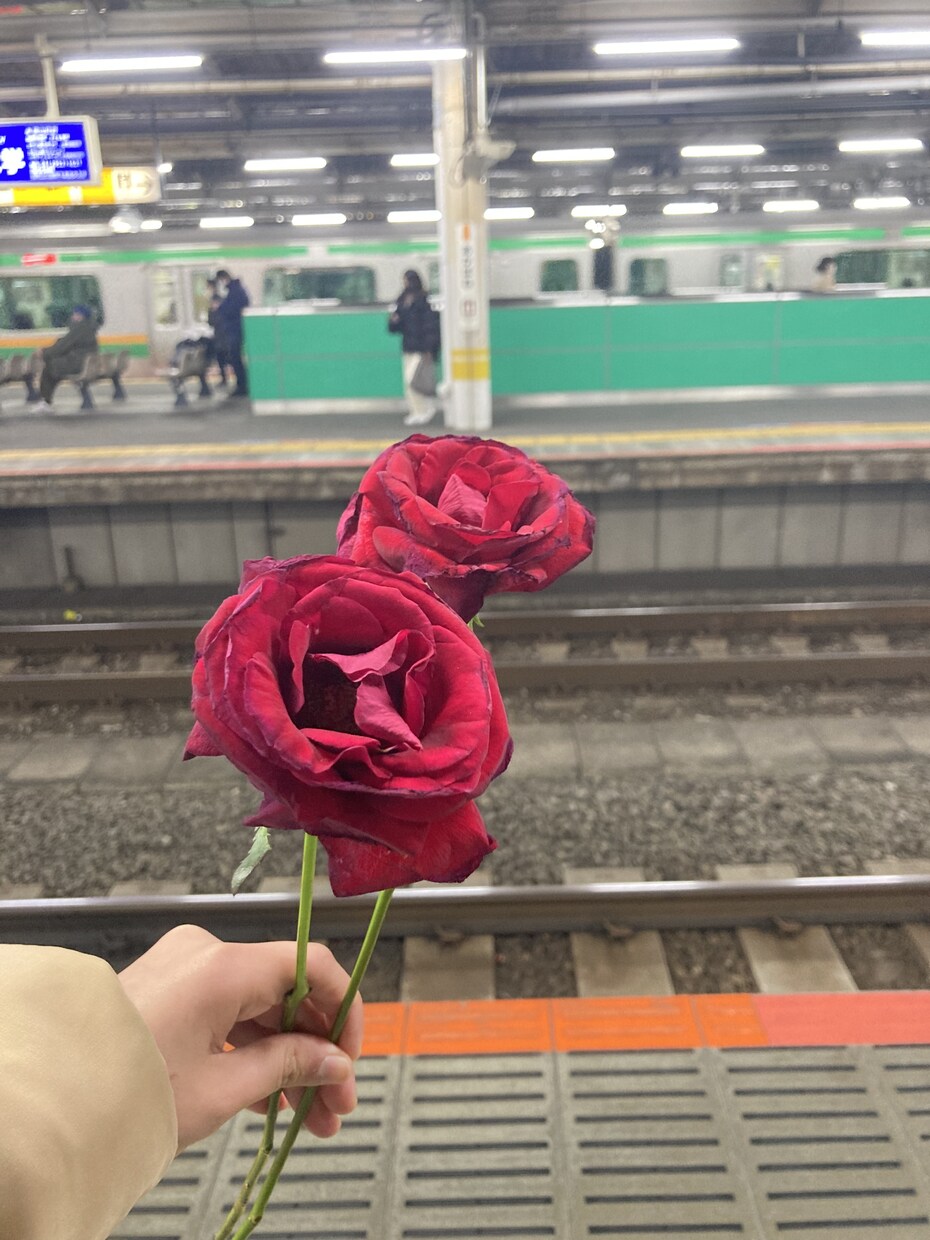 英→日、すてきな日本語にします 「言葉」が好きです。英日訳も、すてきな言葉にします。 イメージ1