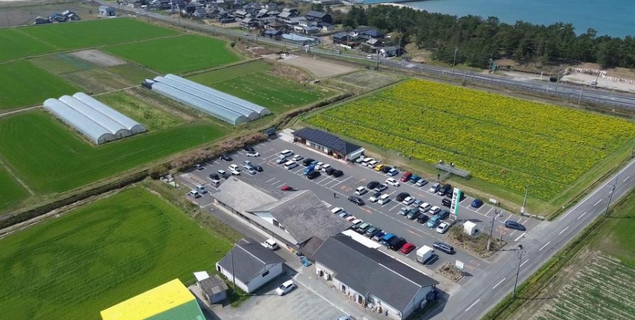 印象に残るドローン空撮動画を撮影します ドローン民間ライセンス取得者がドローンによる空撮を行います。 イメージ1