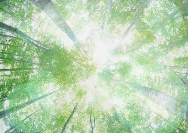 あなたのモヤモヤした辛い気持ち聞きます 今は辛いけど、一歩踏み出して幸せの階段を‼︎ イメージ3