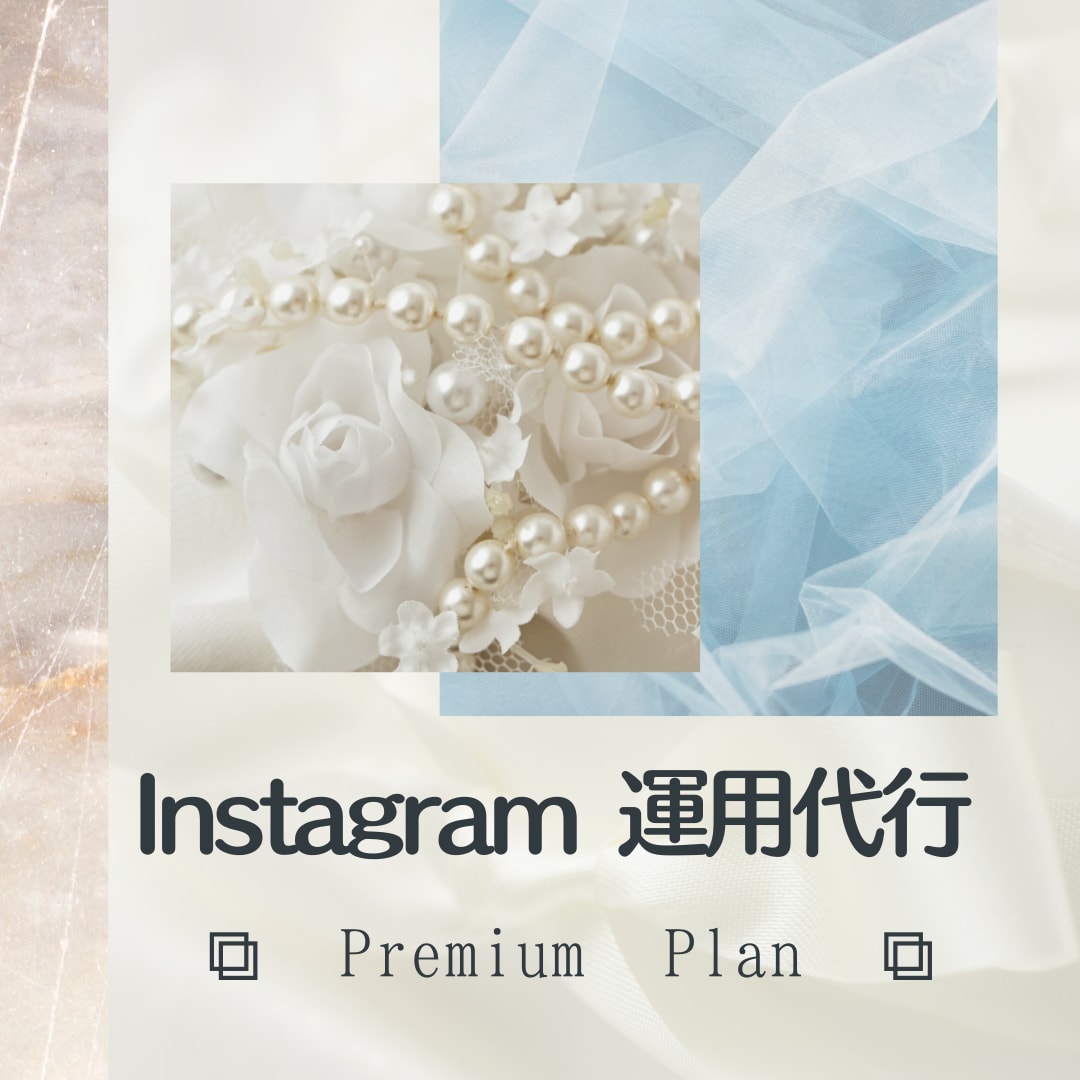 Instagram代行(画像制作込み)を行います Premium Plan /ハイクオリティなサービスをご提供 イメージ1